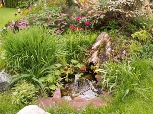 Jak w naturze - zagłębienie terenu z wodą